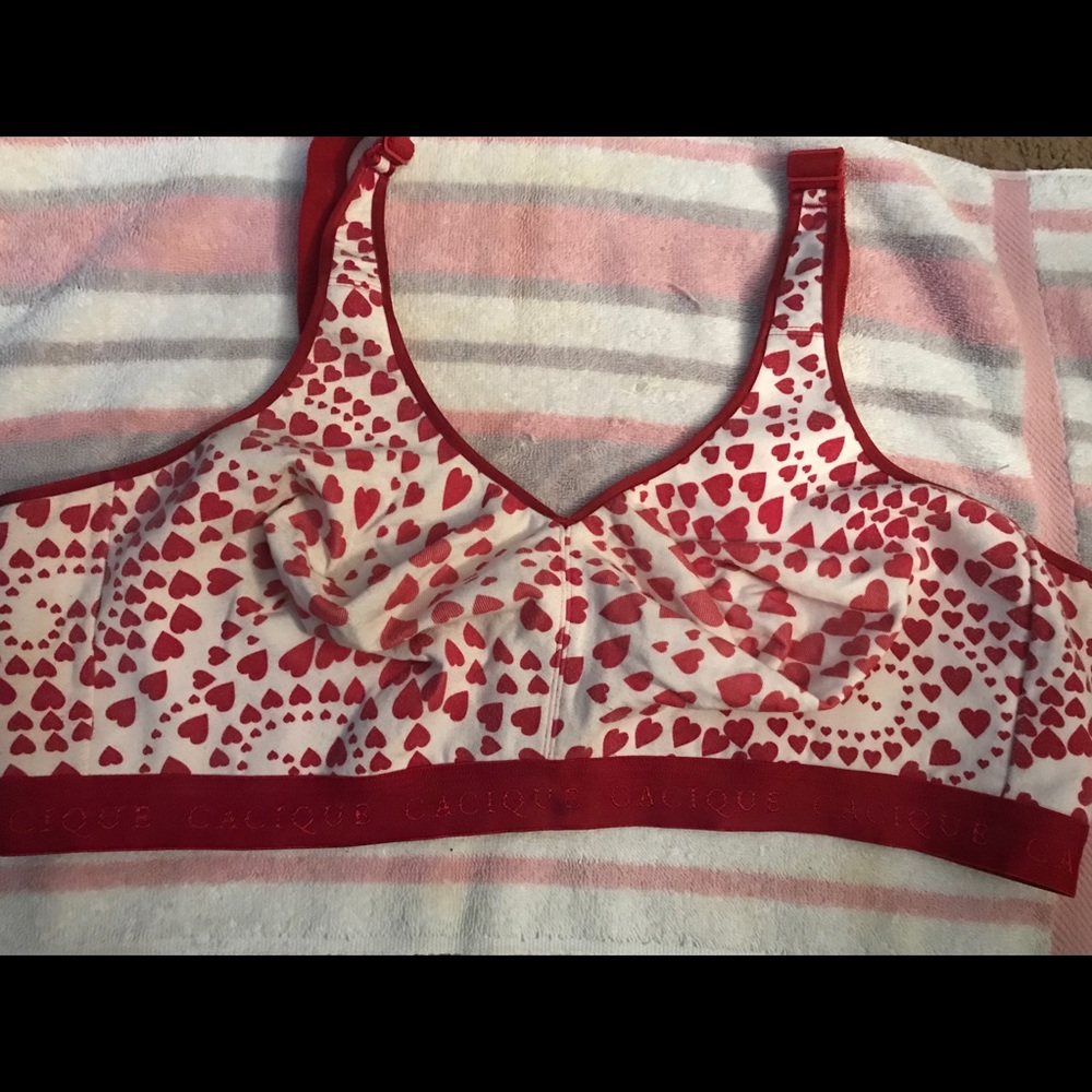 Lane Bryant Cacique cotton bra 46 DD
